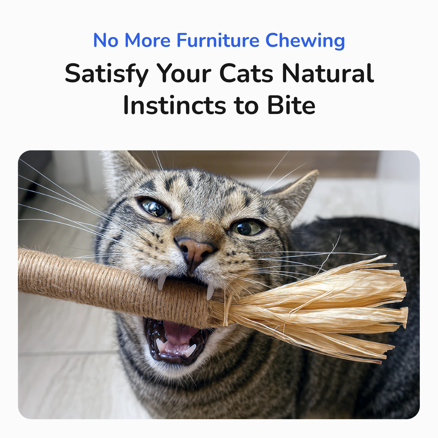 Feline Fresh Silvervine Dental Chew Sticks - PlushyPaws ∙ Pet Care Essentials